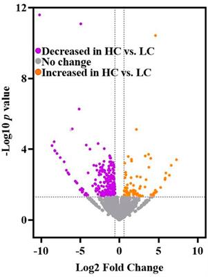 Heightened cocaine-seeking in male rats associates with a distinct transcriptomic profile in the medial prefrontal cortex